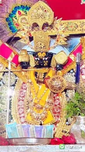 //tera gadi tera banglasawariya seth,sanwariya seth bhajan,shorts,sawariya seth