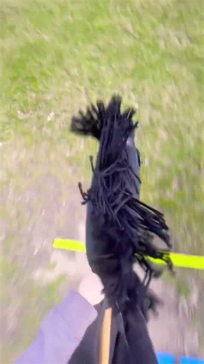 Ile jesteście w hh? #dlaciebie #hobbyhorse #horse #hobbyhorsing #music #hobby #hh #fypシ #tt #koń