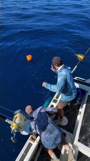 These Guys Used a Very Modern Way to Catch Fish