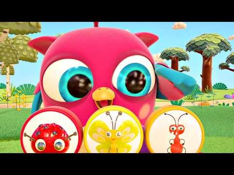 Hop Hop the owl and Peck Peck the woodpecker catch a mosquito and play with toys.