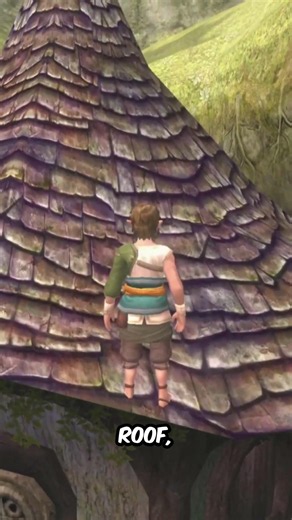 How To Get The Rupees Above Rusl's House In Zelda: Twilight Princess