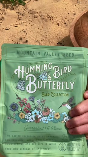 Creating a Vibrant Hummingbird and Butterfly Garden: Tips and Tricks