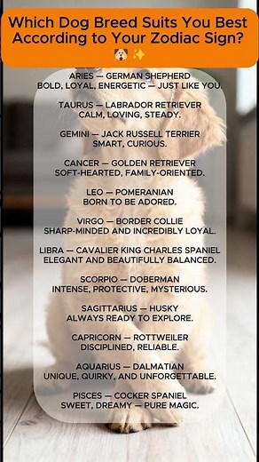 Which Dog Breed Suits You Best According to Your Zodiac Sign? 🐶✨