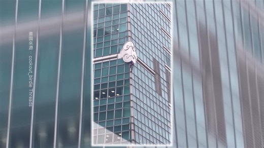 週六將徒手攀登101! Alex連四天試爬 今因天候不佳取消