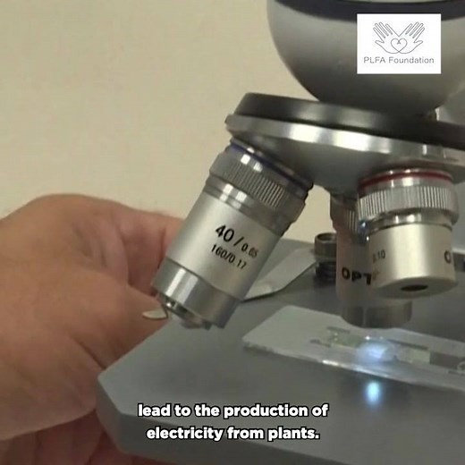 1.4K reactions · 521 shares | Researchers at Tel Aviv University are taking the term "GREEN ENERGY" literally with their newest breakthrough!  ➡️ Brought to you by the PLFA Foundation. | cheddar news | Facebook