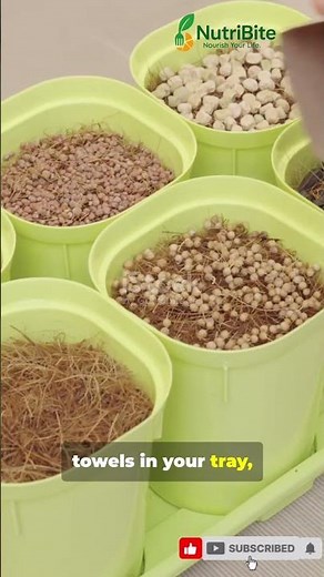 Grow Chia Microgreens Without Soil 🥗 | Easy Indoor Gardening Tips