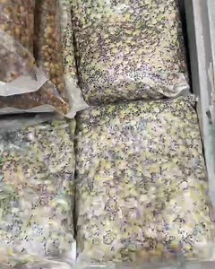 Loads of particle to collect tomorrow. 3 x bags of Maize for £10. 2 x bags of Tier One for £10. 2 x bags of Hemp Maize £10. Collection address - Unit 20, Manor Industrial Estate, Pleck Road, Walsall, WS2 9XX. Monsterparticles.com #hemp #maize #fishing #carp #monsterparticle #preparedparticle #smashedit #carpy #flatout #tigernuts #TeamMonster #maples #monsterhq | Impact Particles