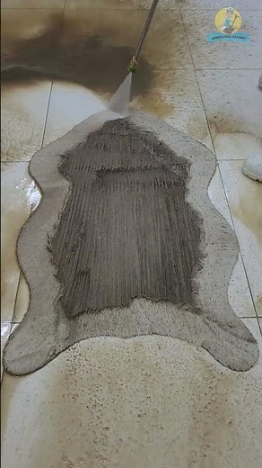 Cleaning satisfying the very dirty furry carpet #shorts