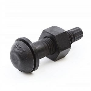 [Hot Item] Twist off Type Tension Control Structural Bolt/Nut/Washer Assemblies