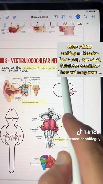 This is how i make notes. #mbbs #china #doctor #studywithme #medicalstudent #study #notes