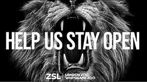 Famous Comedians Assemble to Back Sir David Attenborough’s London Zoo Appeal | LBBOnline