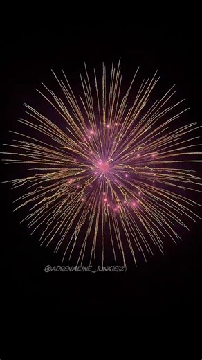 JinYi Fireworks 8” inch 200mm Nishiki willow with pink / red blinker pistil #pyro #fireworks