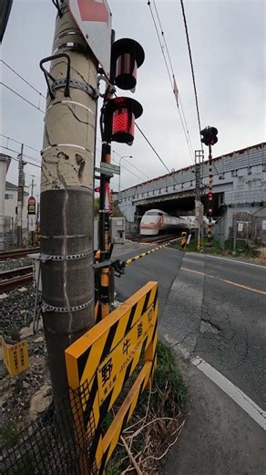 JR宇都宮線 野牛踏切 東武鉄道 特急列車スペーシア 上り電車 埼玉県白岡市 Japan Train, Railroad crossing. March 22, 2026