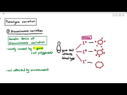 17-4 Discontinuous Variation, and some questions (Cambridge AS A Level Biology, 9700)