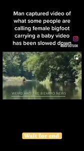 158K views · 1K reactions | perfect bigfoot #bigfoot #rupesbigfoot #bigfootisreal #bigfootsighting #findingbigfoot #bigfootdecoys #bigfootsightings #bigfootwaves #bigfootcountry #bigfootblox #bigfoot4x4 #bigfoothunting #bigfootstories #bigfootmonstertruck #bigfootjava #bigfoothoops #bigfootaus #bigfootrupes #bigfoot200 #bigfootart #bigfootmama #bigfootswilderness #bigfoothunter #bigfootmountain #expeditionbigfoot #bigfoot4x4x4 #bigfootmuseum #bigfootattack | Bigfoot | Facebook