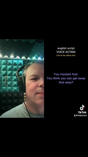 DJ Reed - Voice Actor on Instagram: "Fun short script of an adventurer getting past a low level wizard with Azana Yuriko. #voiceactor #voiceover #djreed #adventure #디재리드"