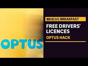 State govts promise free drivers' licence replacements to Optus customers hit by hack | ABC News