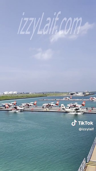 izzylaif (@izzylaif)’s videos with original sound - izzylaif