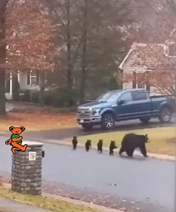 21K views · 374 reactions | Who Are The Grateful Dead on Reels | Facebook