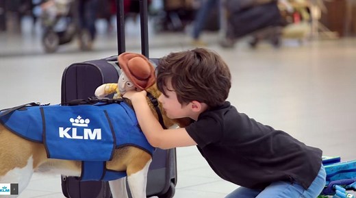Meet Sherlock - the beagle returning your lost property