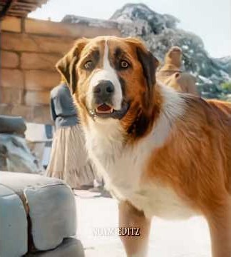 ''This Dog Bet His Life To Save Her...'' | The Call Of The Wild Edit | Headlights feat. KIDDO