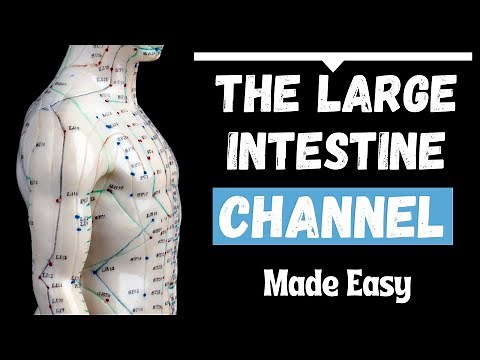 The Large Intestine Meridian