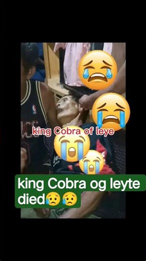 king Cobra of leyte #viral