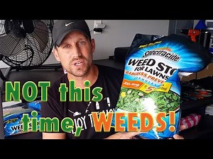 Lawn Fall Pre-Emergent to Prevent Weeds