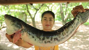 51K views · 140 reactions | Snake Head Fish Recipe / Grilled Fish With Aluminum Foil - MAMA Chef -------------------------------------------- Credit By Cooking With SreyPov | MAMA Chef | Facebook