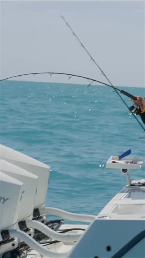 30 reactions | Mr Mutton Snapper : Fishing with Zeus in Key West! | S10:E2 Local Knowledge is Available on YouTube, Waypoint TV & Streaming apps | Local Knowledge | Facebook