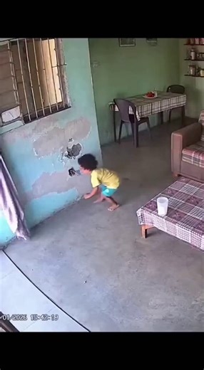 This dog deserves way more recognition.1.5M people saw how Dog Saves Child's life, and it’s just getting started.Dex Pay at $12K$HeroDog