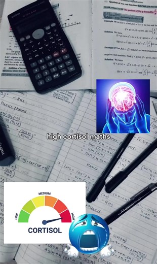 Why I Prefer English Over Math in Learning