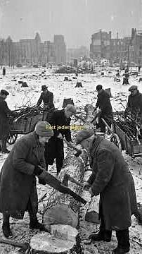 Warum war der Berliner Tiergarten 1945 ein Kartoffelacker?