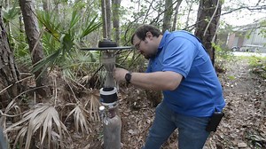 12 reactions | ❓ Did you know that only female mosquitoes bite? Go...