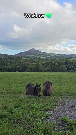 Enniskerry Co Wicklow 💚 | In Ireland