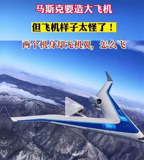 Elon Musk's Vision for a Futuristic Commercial Airplane