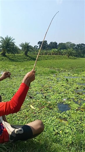 Discover the village fisherman’s secret hook trick that catches fish...