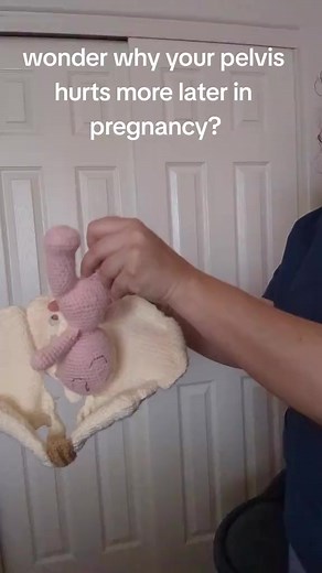 This is why your pelvis hurts more the further you get into pregnancy! Read about the pains of pregnancy here: https://pregnurse.com/category/healthy-pregnancy/pains-of-pregnancy/ | The Pregnancy Nurse