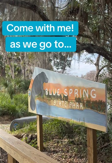 Exploring Blue Springs State Park's Wildlife Wonders