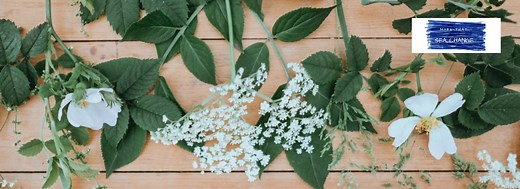 10 Best Flowers Affiliate Programs To Arrange In 2025