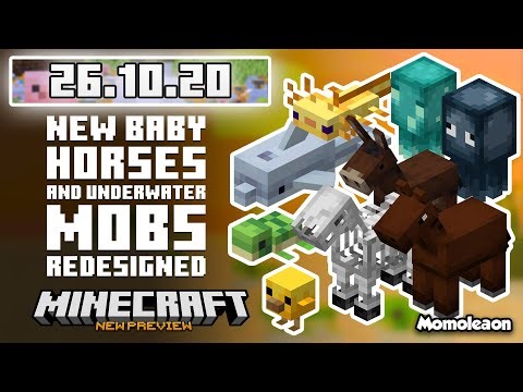 Minecraft 26.10.20 Beta & Preview - NEW baby horses and underwater mobs redesigned