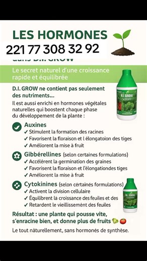 D.I.GROW VERT: produits bio naturel accélérateur de croissance booster d'immunité chez les animaux leurs donnes de l'appétit FERTILISANTS... Disponible au 221 77 308 32 92. #debloquemesvue🥲🙏🏽 #eleveur #elevage #BAYKATSENEGAL #bio @ferme agro écologie des niayes @Ahma élevage 🦚🦜🦃🐓🤩🦆 @Agri pisciculture Bark wendé @bergerie Mame Khalifa @La Nouvelle Animalerie du 🇸🇳 @poulet Casa 💚 @ENGRAIS BIO FOLIAIRE