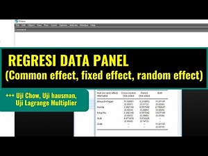 Regresi Data Panel (Common Effect, Fixed Effect, Random Effect)