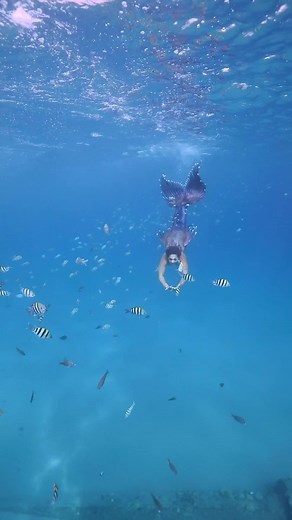 Living my Fanta-sea 🌊 #mermaid tail by Finfolk Productions | Mermaid Sirenity