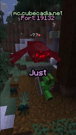 the BEST minecraft server of all time