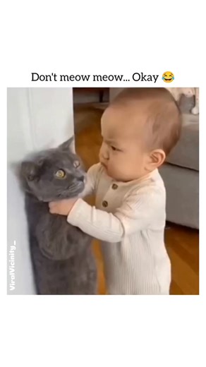 Viral Vicinity on Instagram: "The video captures a baby holding a gray cat up against a wall. The baby has a very serious, scolding expression and is pointing a finger at the cat while making sounds that mimic a stern lecture. The text overlay reads, "Don't meow meow... Okay 😂." The cat appears calm, though perhaps a little resigned, as the baby continues to "lecture" it. The clip is popular because of the baby's surprisingly serious demeanor and the cat's patient, humorous reaction, making it 