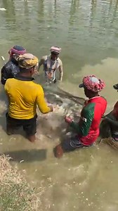 14K views · 54 reactions | Village 74 on Reels | Facebook