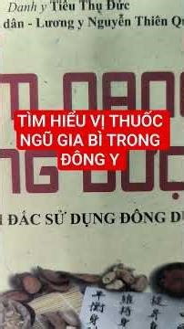 TÌM HIỂU VỊ THUỐC NGŨ GIA BÌ TRONG ĐÔNG Y
