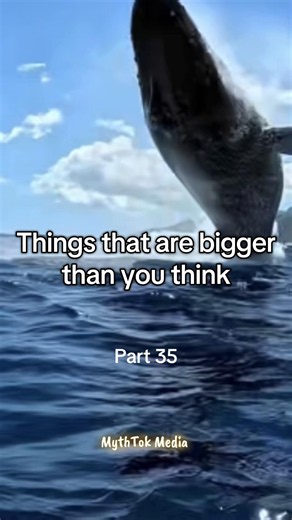Things that are bigger than you think 😳 | Part 35 #nostalgiacore #creepytok #scary #biggerthanyouthink #viral
