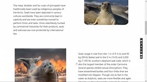 An amazing responsive Website